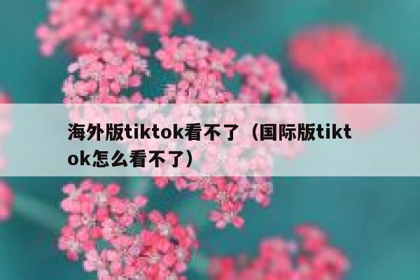 海外版tiktok看不了（国际版tiktok怎么看不了） 第1张