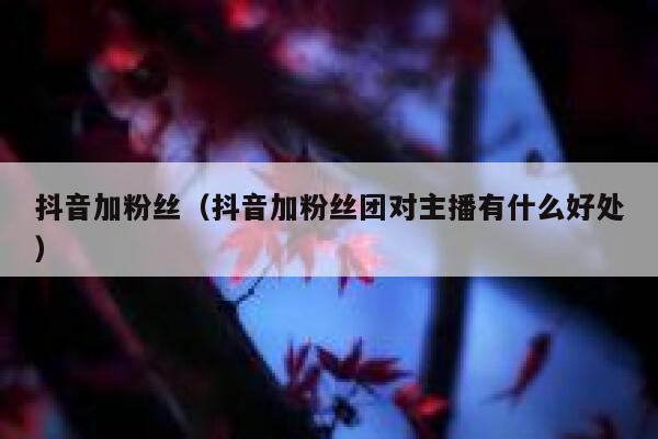 抖音加粉丝（抖音加粉丝团对主播有什么好处） 第1张