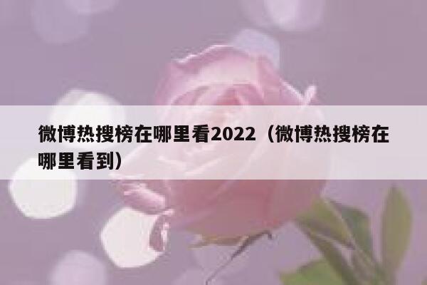 微博热搜榜在哪里看2022（微博热搜榜在哪里看到） 第1张