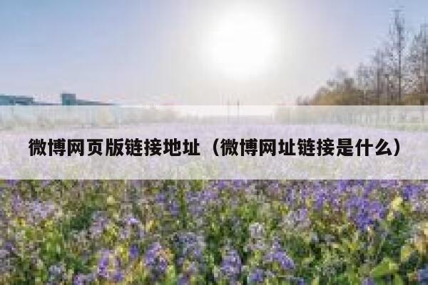 微博网页版链接地址（微博网址链接是什么） 第1张