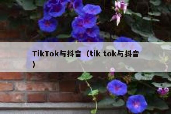 TikTok与抖音（tik tok与抖音） 第1张