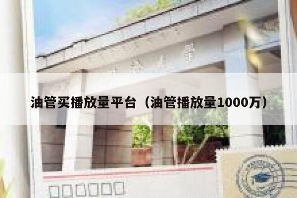 油管买播放量平台（油管播放量1000万） 第1张