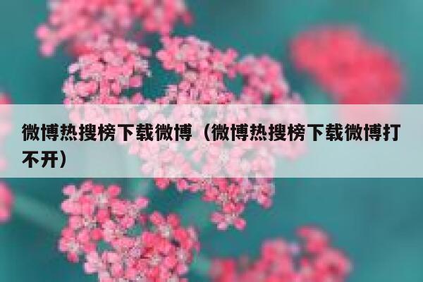 微博热搜榜下载微博（微博热搜榜下载微博打不开） 第1张