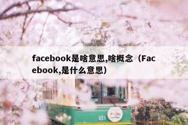 facebook是啥意思,啥概念（Facebook,是什么意思） 第1张