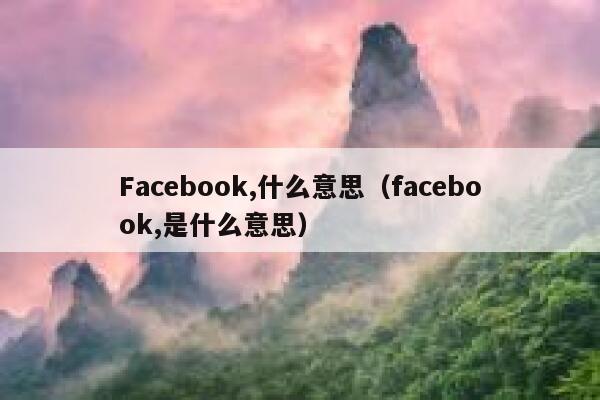 Facebook,什么意思（facebook,是什么意思） 第1张