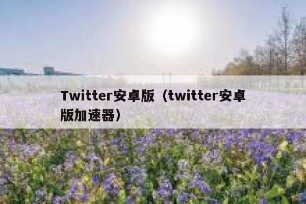 Twitter安卓版（twitter安卓版加速器） 第1张