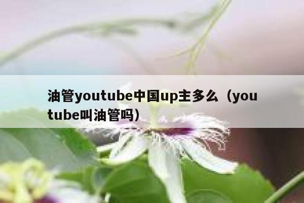 油管youtube中国up主多么（youtube叫油管吗） 第1张