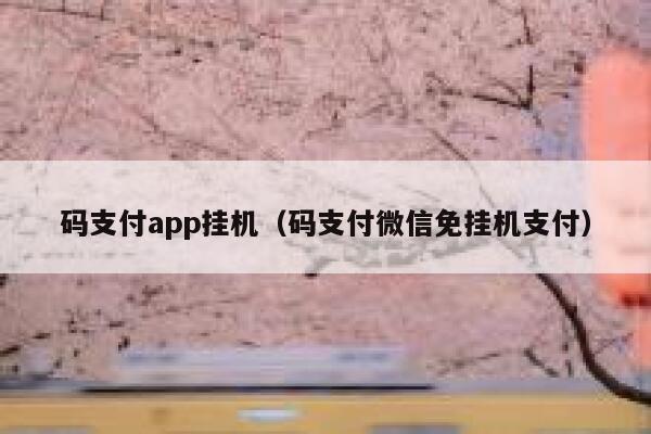 码支付app挂机（码支付微信免挂机支付） 第1张