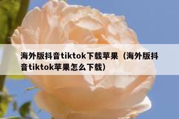 海外版抖音tiktok下载苹果（海外版抖音tiktok苹果怎么下载） 第1张