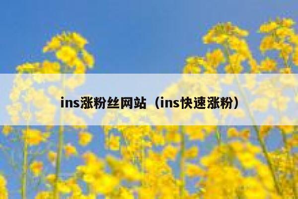 ins涨粉丝网站（ins快速涨粉） 第1张