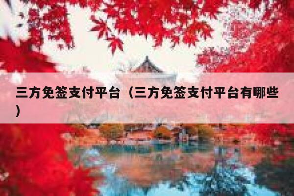 三方免签支付平台（三方免签支付平台有哪些） 第1张