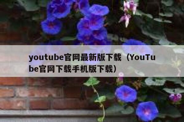 youtube官网最新版下载（YouTube官网下载手机版下载） 第1张