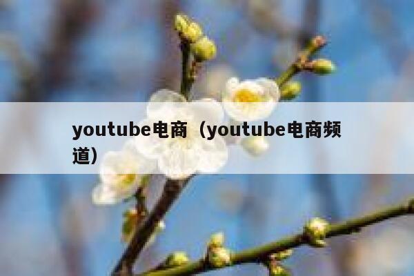 youtube电商（youtube电商频道） 第1张