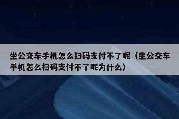 坐公交车手机怎么扫码支付不了呢（坐公交车手机怎么扫码支付不了呢为什么） 第1张