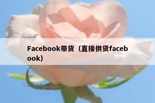 Facebook带货（直接供货facebook） 第1张