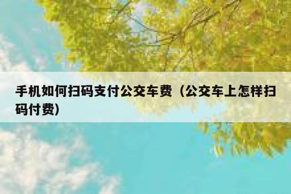 手机如何扫码支付公交车费（公交车上怎样扫码付费） 第1张