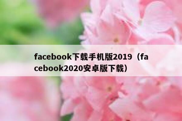 facebook下载手机版2019（facebook2020安卓版下载） 第1张