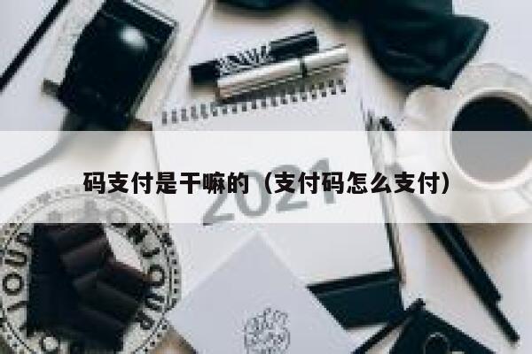 码支付是干嘛的（支付码怎么支付） 第1张