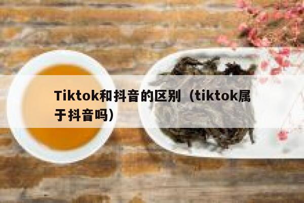 Tiktok和抖音的区别（tiktok属于抖音吗） 第1张