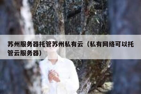 苏州服务器托管苏州私有云（私有网络可以托管云服务器） 第1张