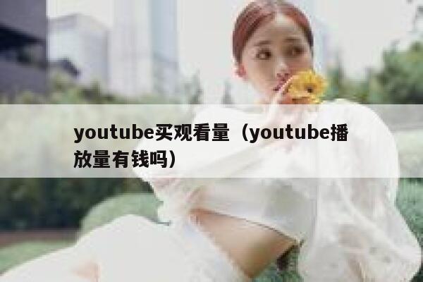 youtube买观看量（youtube播放量有钱吗） 第1张