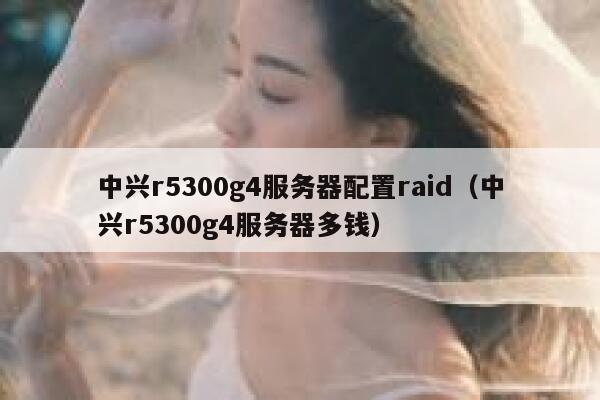 中兴r5300g4服务器配置raid（中兴r5300g4服务器多钱） 第1张