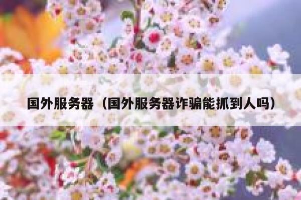 国外服务器（国外服务器诈骗能抓到人吗） 第1张