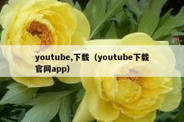 youtube,下载（youtube下载官网app） 第1张