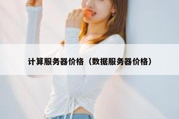 计算服务器价格（数据服务器价格） 第1张