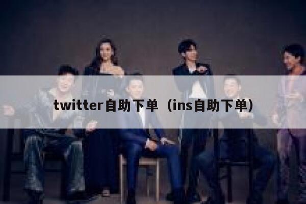 twitter自助下单（ins自助下单） 第1张