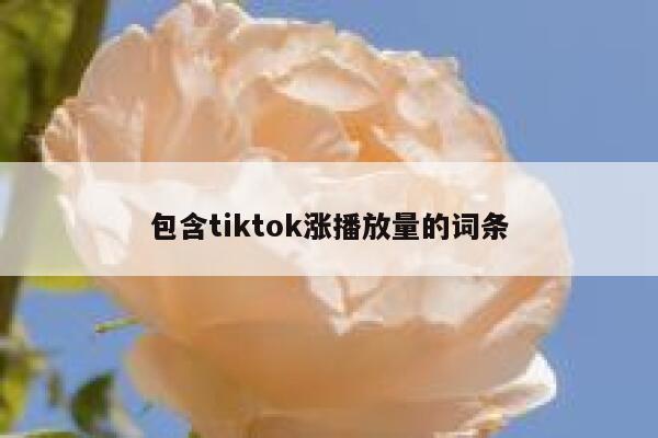 包含tiktok涨播放量的词条 第1张