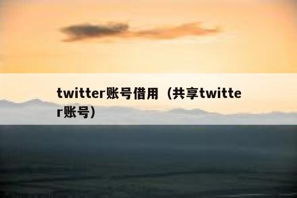 twitter账号借用（共享twitter账号） 第1张