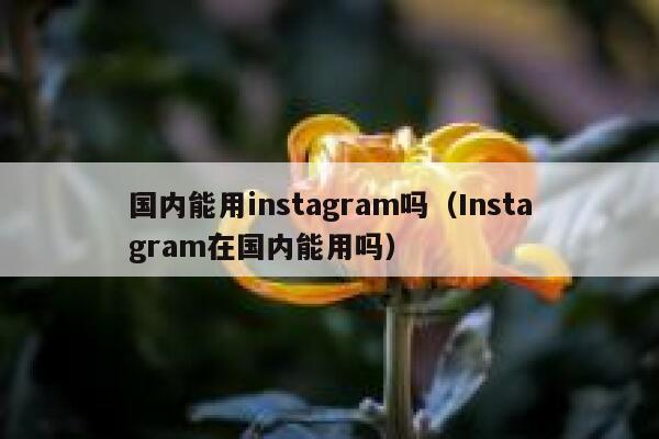 国内能用instagram吗（Instagram在国内能用吗） 第1张