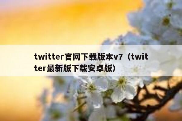 twitter官网下载版本v7（twitter最新版下载安卓版） 第1张