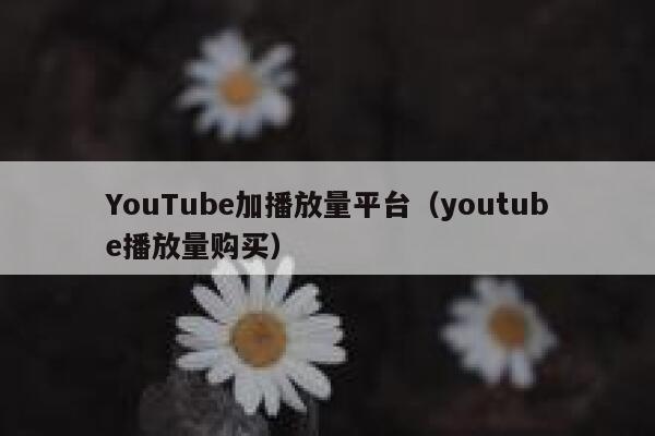 YouTube加播放量平台（youtube播放量购买） 第1张