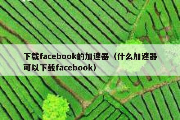 下载facebook的加速器（什么加速器可以下载facebook） 第1张