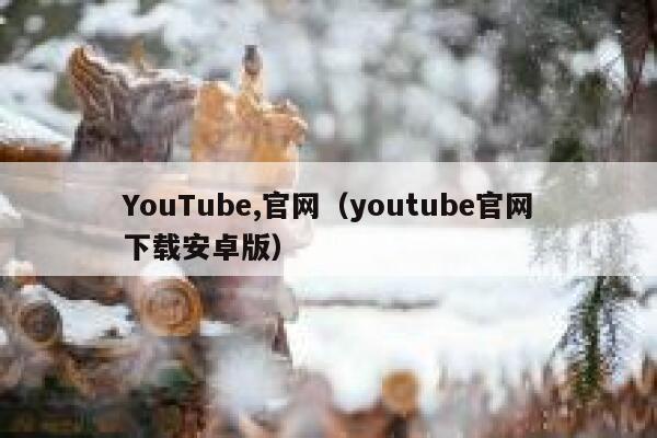 YouTube,官网（youtube官网下载安卓版） 第1张