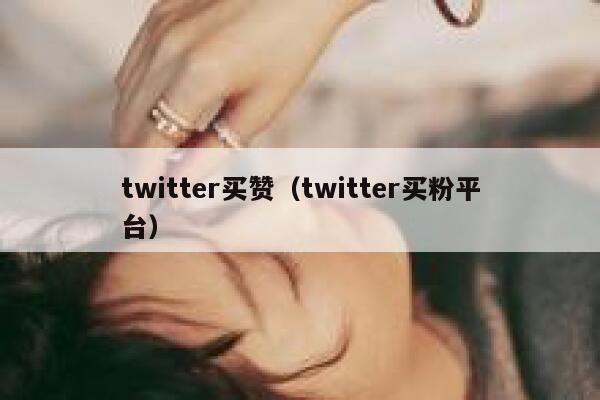 twitter买赞（twitter买粉平台） 第1张