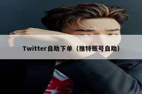 Twitter自助下单（推特账号自助） 第1张