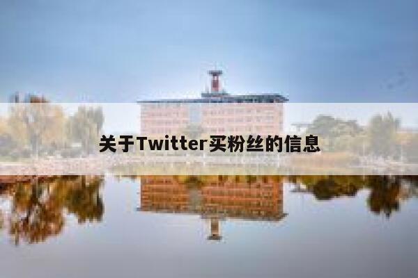 关于Twitter买粉丝的信息 第1张