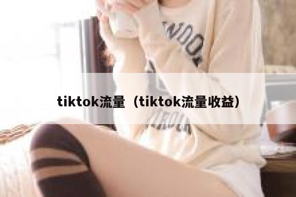 tiktok流量（tiktok流量收益） 第1张