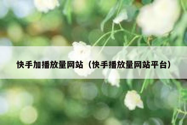 快手加播放量网站（快手播放量网站平台） 第1张