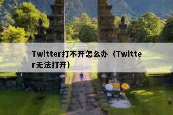 Twitter打不开怎么办（Twitter无法打开） 第1张