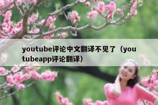 youtube评论中文翻译不见了（youtubeapp评论翻译） 第1张