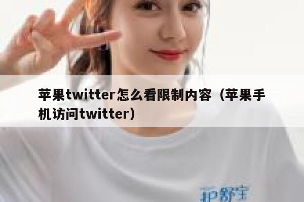 苹果twitter怎么看限制内容（苹果手机访问twitter） 第1张