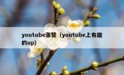 youtube涨赞（youtube上有趣的up）