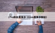 17m粉丝是多少（11m是多少粉丝）