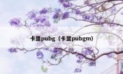 卡盟pubg（卡盟pubgm）