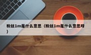 粉丝1m是什么意思（粉丝1m是什么意思呀）