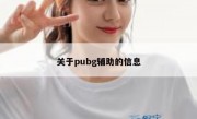 关于pubg辅助的信息